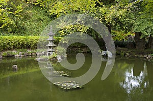 Japanese garden pond