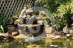 Japanese garden pond with waterfall and fishes