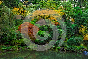 Japanese Garden, Portland Oregon - November 1-st 2014. Autumn colors in the fall.