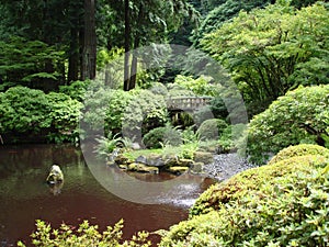 Japanese garden. Portland OR.