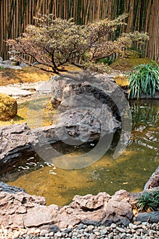 The Japanese Garden is in a restaurant in Chiang Mai. Thailand