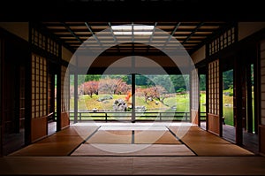 Japanese garden seen through tatami room.