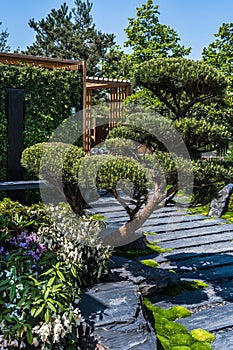 Japanese garden with slate path with bark mulch, native plants and wooden patio
