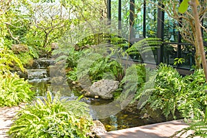 Japanese garden with stones, water and bushes