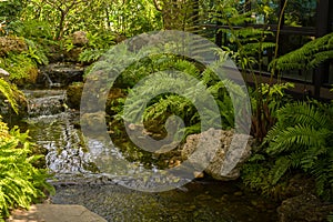 Japanese garden with stones, water and bushes