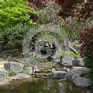 Japanese Garden Stream with Green and Red Maple Trees