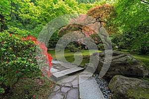 Japanese Garden Strolling Stone Path with manicured plants and trees