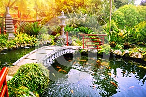 Japanese garden with swimming koi fishes in pond