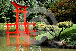 Japanese garden with torii