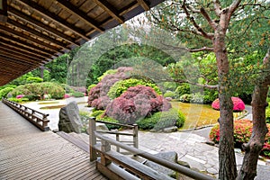 Japanese Garden from the Veranda