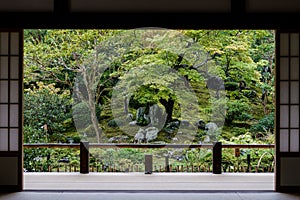 Japanese garden view from door