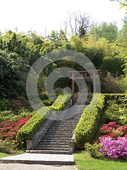 Japanese garden in villa carlotta (IT) photo