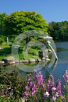 Japanese Garden In Vivid Color