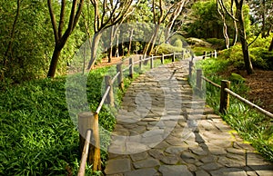 Japanese Garden Walkway