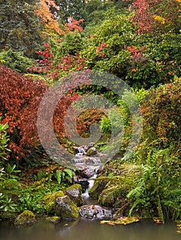 Japanese garden with water