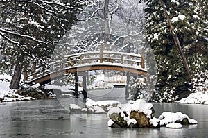 Japonés jardín en el invierno 