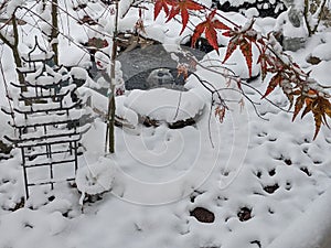 Japanese garden in winter