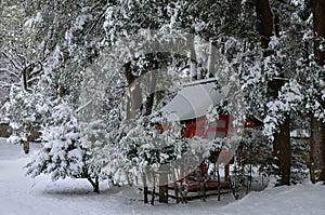 Japanese garden in winter, Kyoto Japan