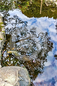 Japanese Garden Winter Reflection 3