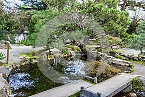 Japanese Garden Winter Reflection 5