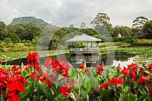 Japanese Garden in Wollongong Botanic Gardens, Wollongong, New South Wales, Australia