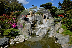 Japanese Garden