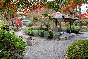 Japanese garden - Yoshikien garden in Nara photo