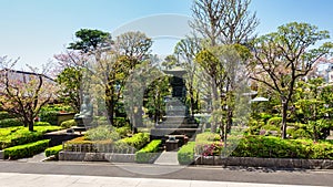 Japanese gardens with beautiful greenery and pond with carp, Asakusa, Tokyo.