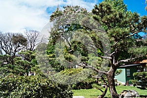 Japanese Gardens Buenos Aires