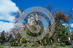 Japanese Gardens Buenos Aires