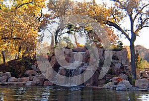 Japanese Gardens in early fall