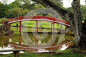 Japanese Gardens red bridge and reflection in pond with tree