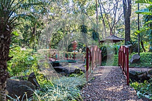 Japanese gardens at RibeirÃ£o Preto city zoo Fabio Barreto. Sao