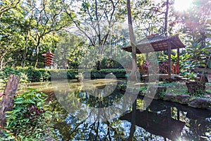 Japanese gardens at RibeirÃ£o Preto city zoo Fabio Barreto. Sao