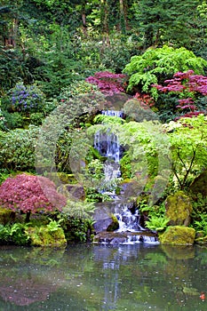 Japanese Gardens Waterfall Portrait photo
