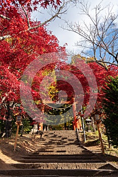 Japanese gate Torii and ladder to Chureito Pagoda, Arakurayama Sengen Park Japan
