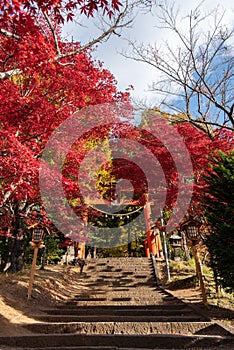 Japanese gate Torii and ladder to Chureito Pagoda, Arakurayama Sengen Park Japan photo