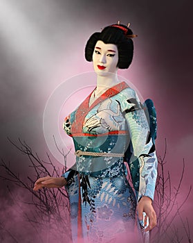 Japanese Geisha Girl, Japan Woman