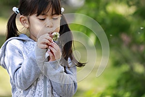 Japanese girl blowing dandelion seeds