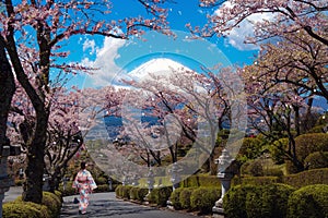 Japanese girl in kimono traitional dress walk in Sakura park with Fuji mountain background