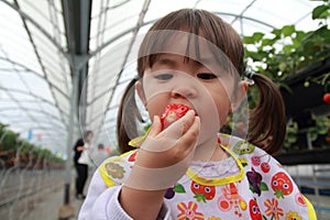 Japanese girl picking strawberry