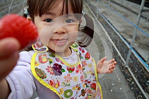 Japanese girl picking strawberry