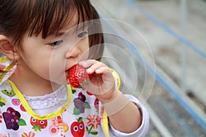 Japanese girl picking strawberry