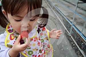 Japanese girl picking strawberry