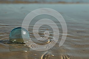 Handblown Glass Float Washed in the Surf photo