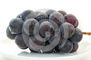 Japanese grape kyoho