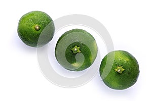 Japanese green orange fruit isolated 3