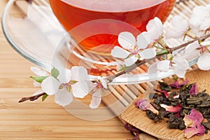 Japanese green tea and sakura branch over mat