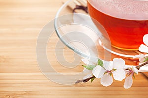 Japanese green tea and sakura branch over mat and bamboo table