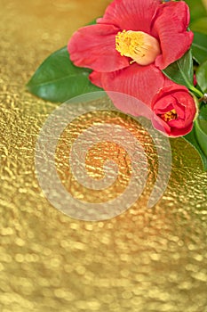 A Japanese greeting card with a Tsubaki flower also called the winter rose on a golden crumpled paper background